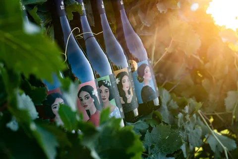 Tour della cantina e degustazione di vini biologici siciliani a Marsala