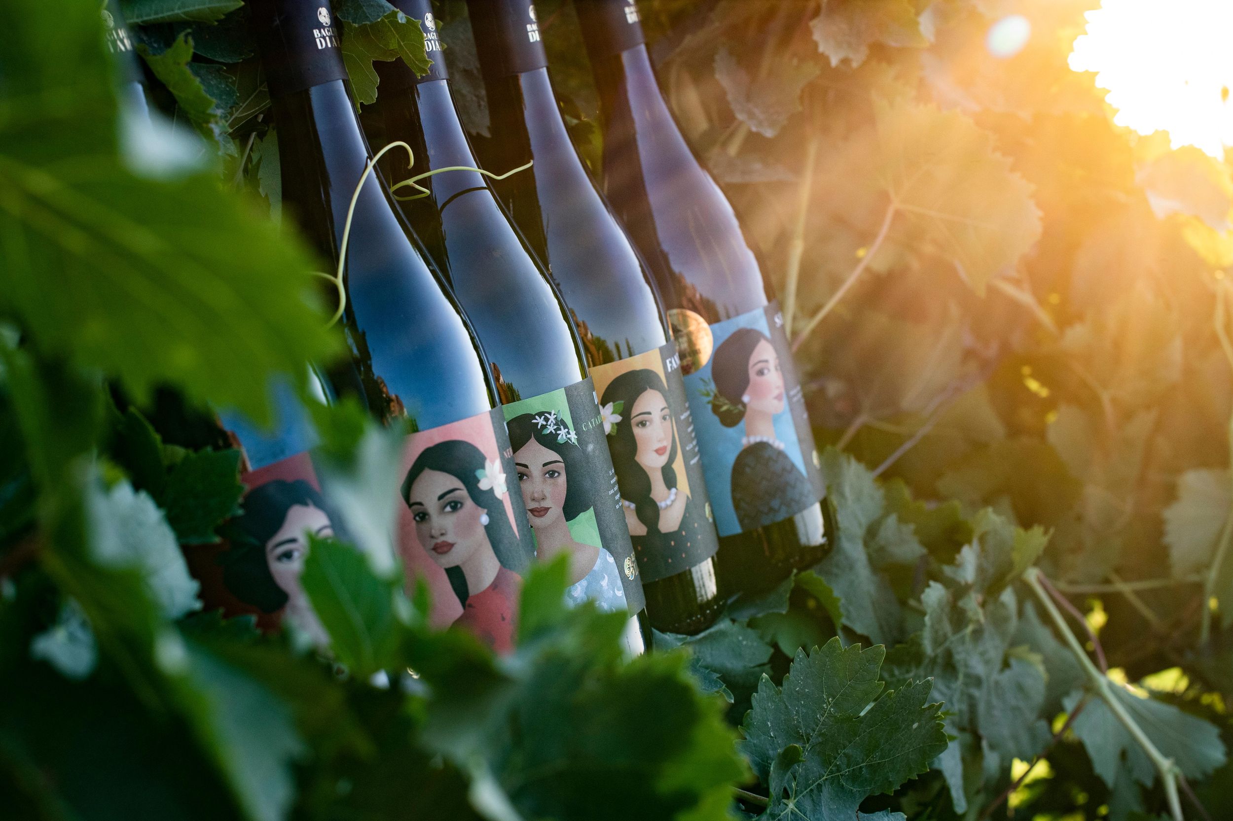 Tour durch das Weingut und Verkostung sizilianischer Bioweine in Marsala