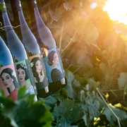 Tour durch das Weingut und Verkostung sizilianischer Bioweine in Marsala