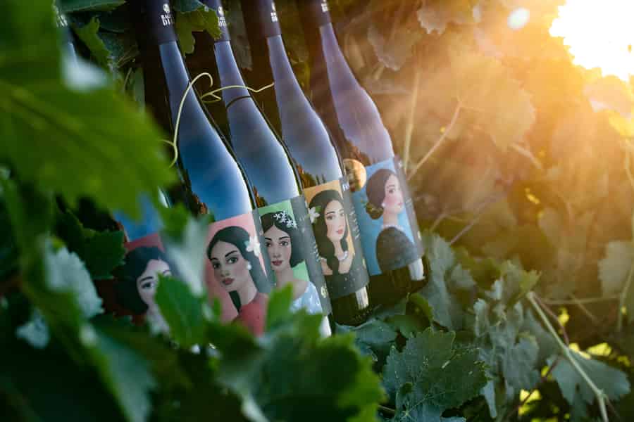 Tour durch das Weingut und Verkostung sizilianischer Bioweine in Marsala. Foto: GetYourGuide