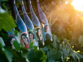 Visite d'une cave et dégustation de vins biologiques siciliens à Marsala