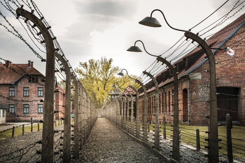 Vienne : Visite d'Auschwitz Birkenau