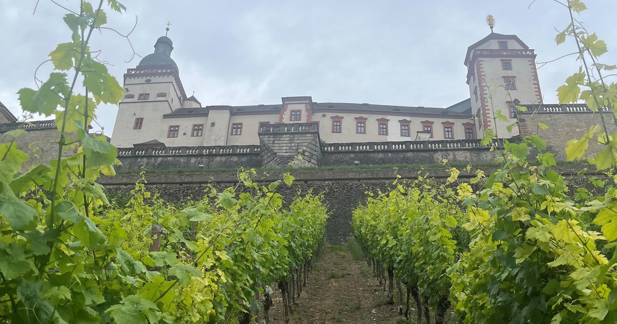 mellem-vinmarker-og-residensby-vinoplevelse-i-w-rzburg-med-udsigt