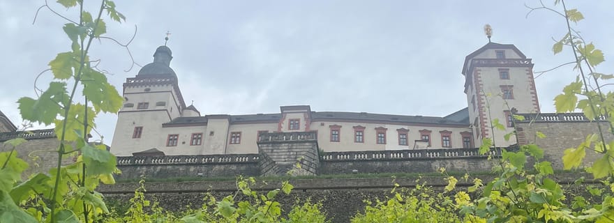 Entre vignes et ville résidentielle - Les vins de Würzburg et une vue imprenable