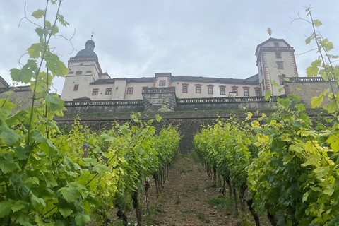 Tra vigneti e città residenziale - Il piacere del vino di Würzburg con vista panoramicaTra vigneti e residenze storiche: il piacere del vino a Würzburg con vista panoramica