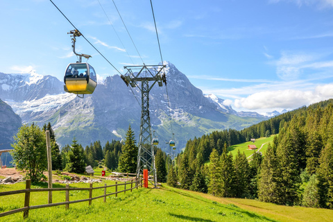 Escursione privata di un giorno: Lucerna e la vetta d&#039;Europa&gt; Jungfraujoch