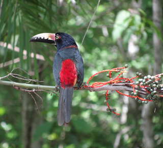 Multi-day Tours and Trips from Bacalar