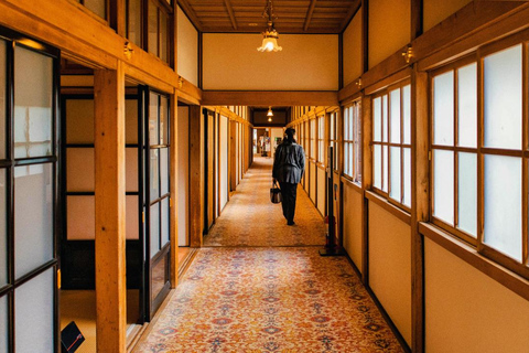 Tóquio: Viagem de 1 dia privada a Nikko com templos e natureza