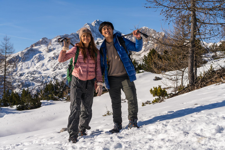 From Ljubljana/Bled: Winter Hike to 2000m Julian Alps Summit From Bled: Pickup at your accommodation