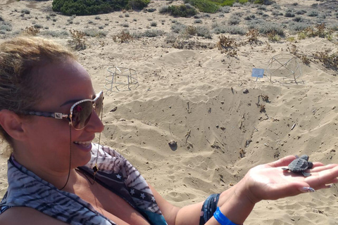 The Super Team : Akamas & Avakas Jeep Safari from Paphos