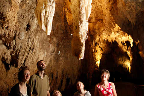 LUCIÉRNAGA DE WAITOMO Y CUEVAS DE RUAKURI - EXCURSIÓN COMBINADA DESDE AUCKLAND