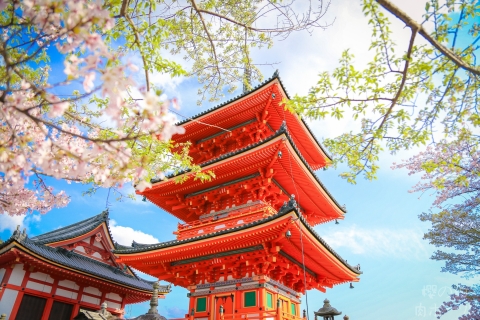 Kyoto 1-Daagse tour:Kiyomizu-dera, Kinkakuji en Fushimi InariOphalen van Osaka Nipponbashi om 8.30 uur