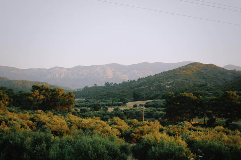 Rhodes: Guided Quad ATV Off-Road Safari Morning tour (3h)