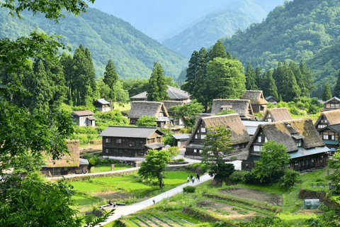 Från Nagoya: Hida Takayama och världsarvet Shirakawa-go