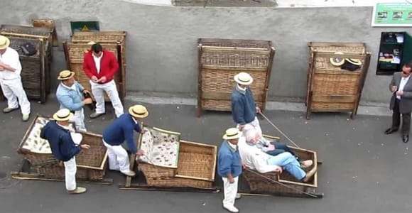 Toboggan Ride & Madeira Wine Tasting Tour