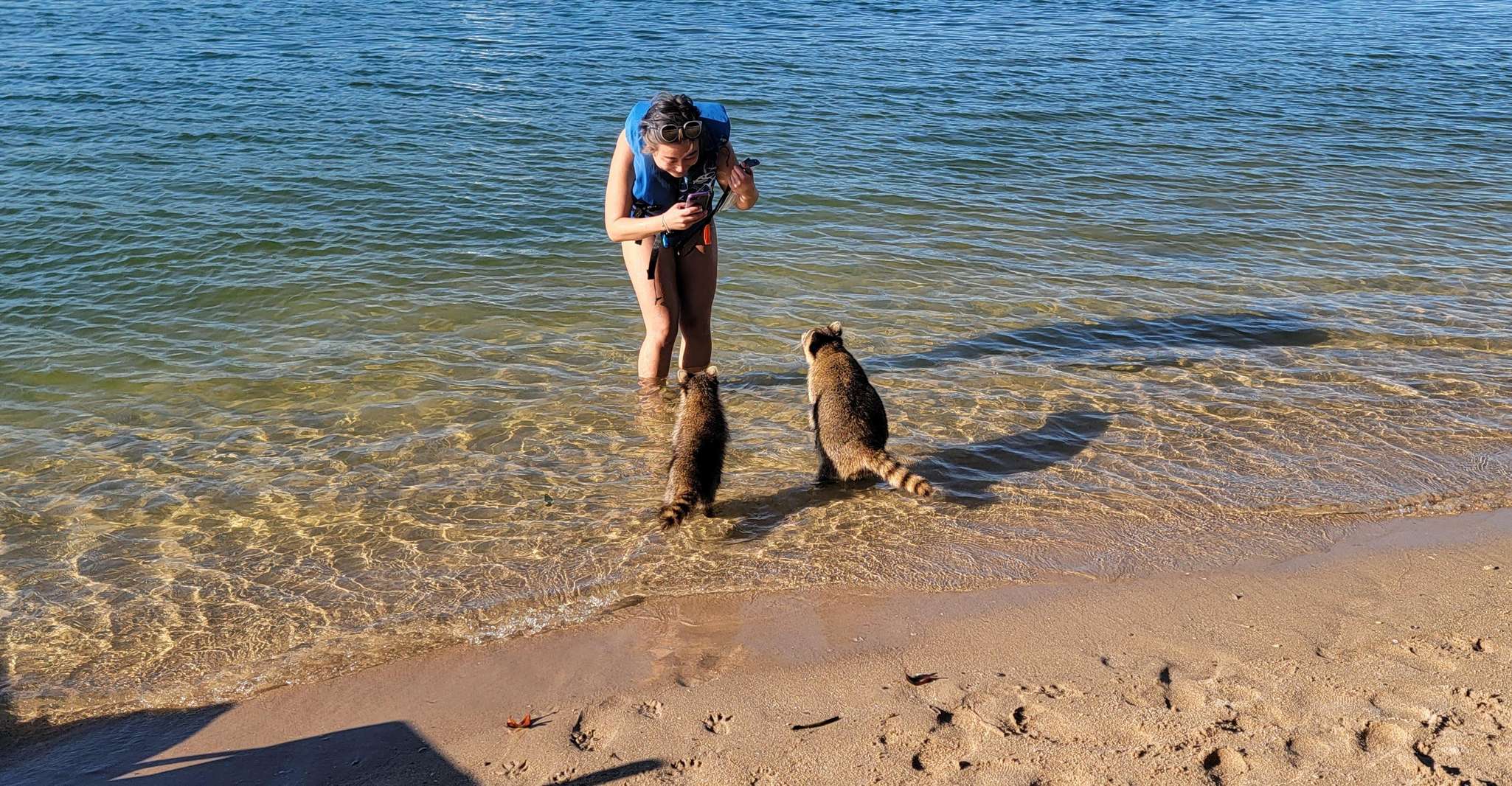 Miami: Biscayne Bay Ultimate Boat Tour with Kayak Experience photo 15
