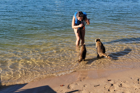 Miami: Biscayne Bay Ultimate Boat Tour with Kayak Experience
