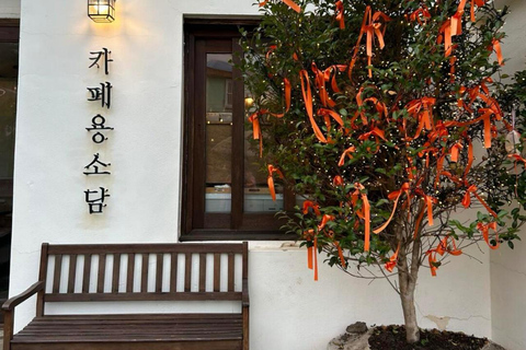 Jeju Airport (CJU) Private Transfer – Arrival & Departure Arrival: Jeju Airport (CJU) to Jeju City