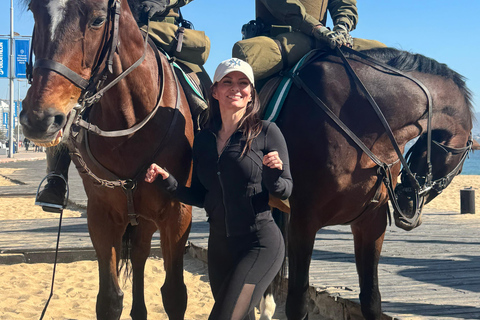 Viña del Mar and Valparaiso: Private Tour