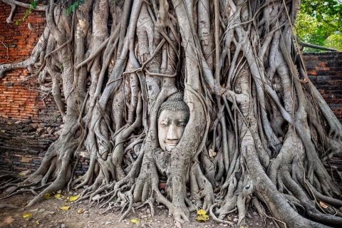 Visite du temple des singes de Lopburi et de la vieille ville d'Ayutthaya (UNESCO)