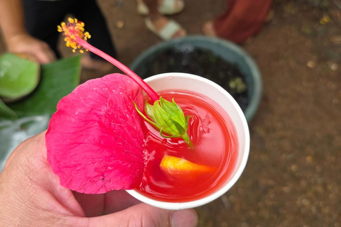 Boracay: raccolta di cibo e spiaggia nascostaAlla ricerca di cibo sull'isola di Boracay con esperienza sulla spiaggia nascosta