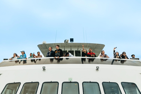 San Diego: Tour de avistamiento de ballenas y delfines