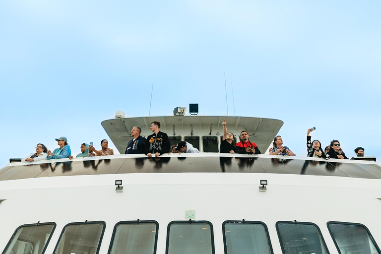 San Diego: Tour de avistamiento de ballenas y delfines