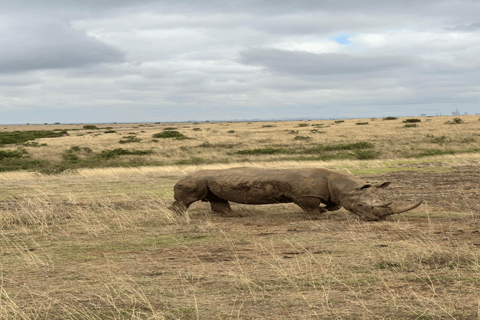 Safari Maasai Mara 3 dni/2 noce