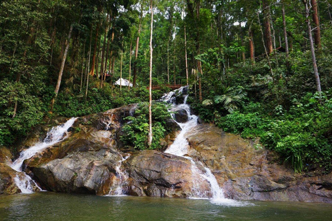 Batu Caves Skywalk and Waterfalls Adventure