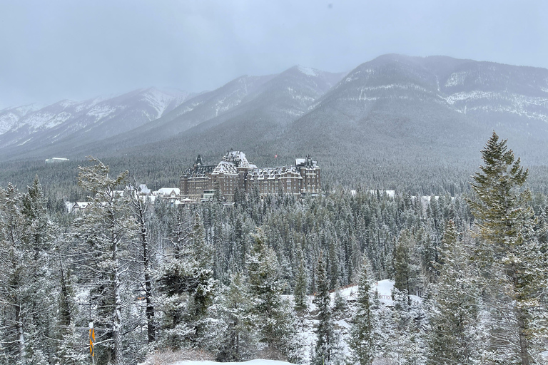 Z Banff: Transfer do Lake Louise i Moraine Lake.