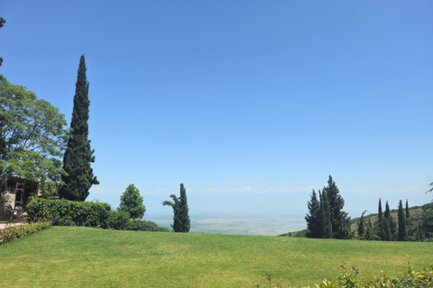 From Tbilisi: Kakheti Wine Journey with Sighnaghi and Telavi