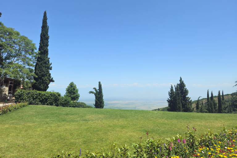 From Tbilisi: Kakheti Wine Journey with Sighnaghi and Telavi