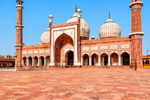 From Delhi: Golden Triangle Private Tour with Safari 7-days Golden Triangle Tour without Hotels & Tickets