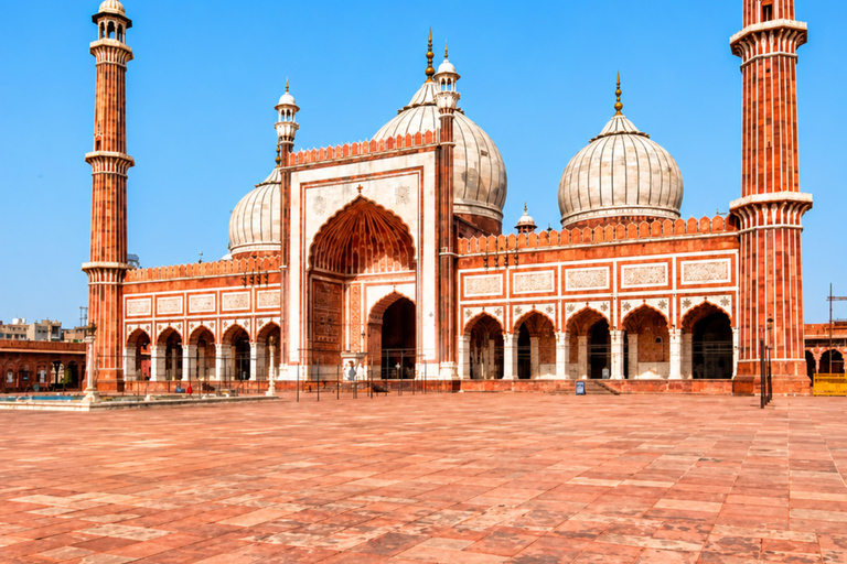 From Delhi: Golden Triangle Private Tour with Safari 7-days Golden Triangle Tour without Hotels & Tickets