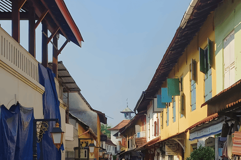 From Cochin Guided Tour of Fort Kochi with Drop at Kumarakom