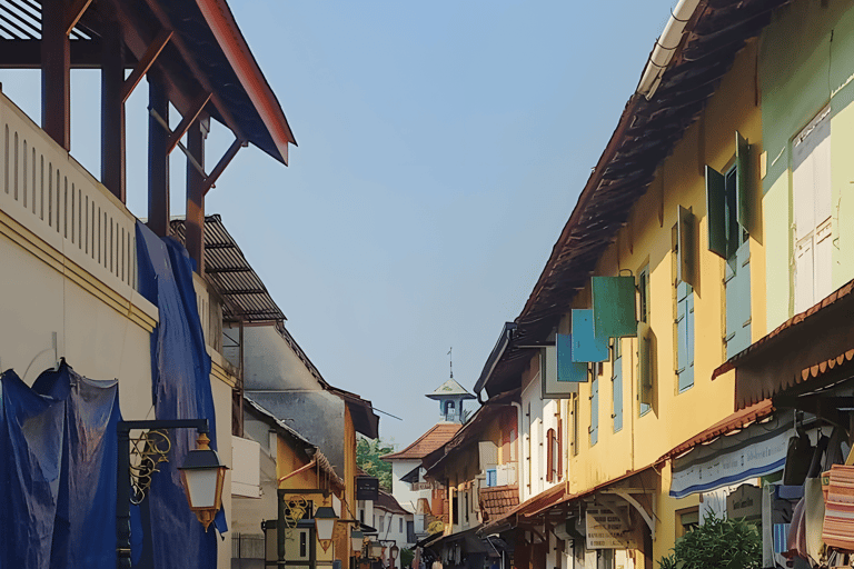 From Cochin Guided Tour of Fort Kochi with Drop at Kumarakom
