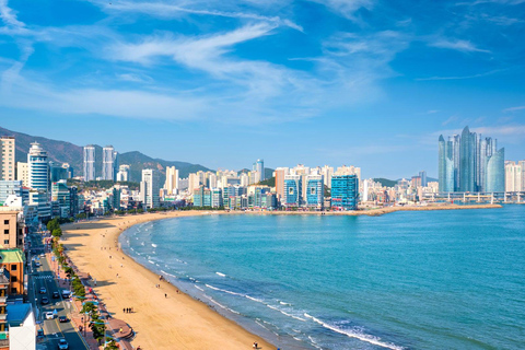 Busan Top Attractions Private tour with Tickets