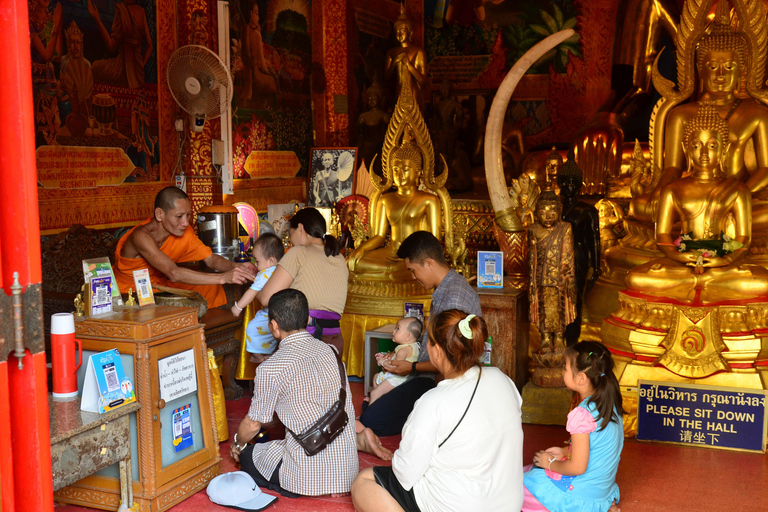 Chiang Mai: 4-timmars rundtur med Doi Suthep, Wat Umong och Wat Phalat