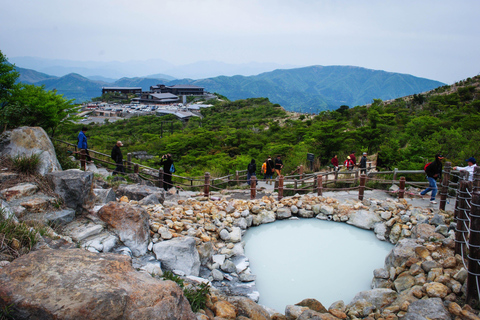 Vanuit Tokio: Privé dagtrip naar Mount Fuji en Hakone