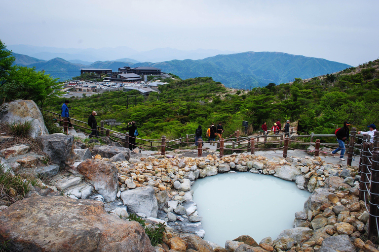 Depuis Tokyo : Excursion privée d&#039;une journée au Mont Fuji et à Hakone