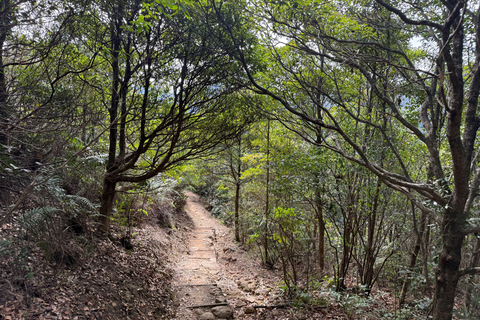 Hong Kong: Tung Shan Skyline Views Guided Hike (2.5 Hours)