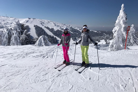 Från Belgrad: Kopaonik nationalpark &amp; skidort-full dag