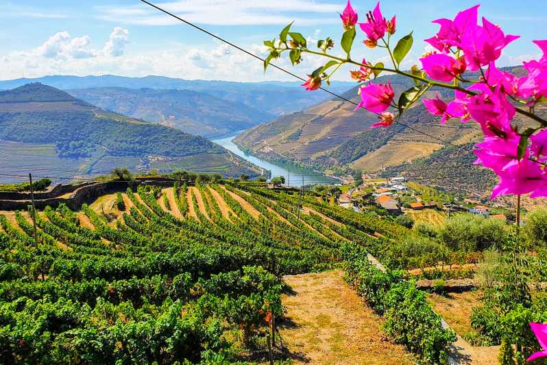 Oporto: valle del Duero con cata de vino, almuerzo y crucero