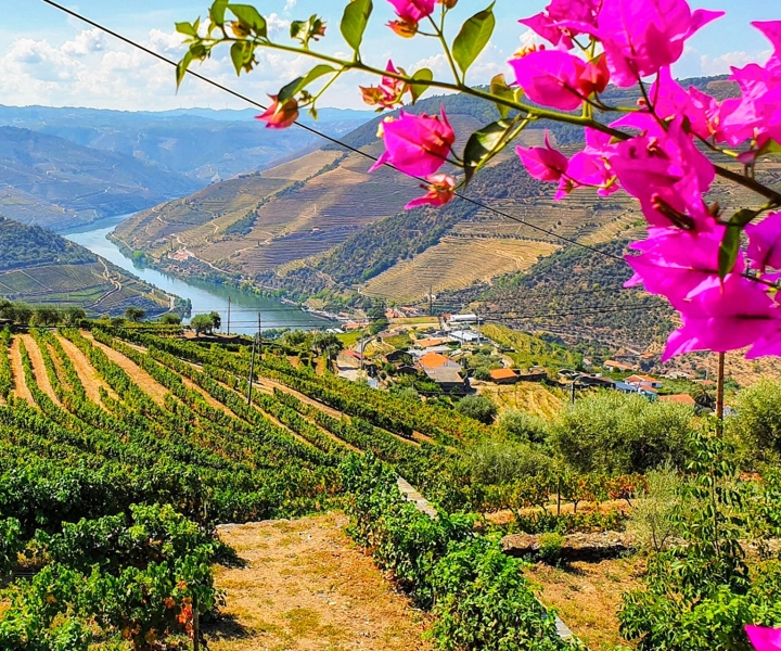 Porto: Dourovallei met wijnproeverij, lunch en boottocht