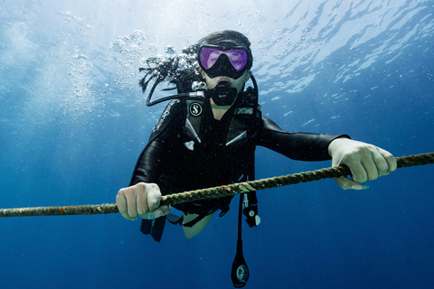 Fisheye Divers: Corso avanzato in acque libere