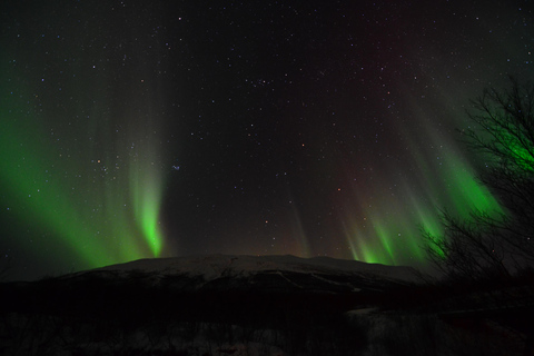 Abisko Autumn Aurora Fire Hike