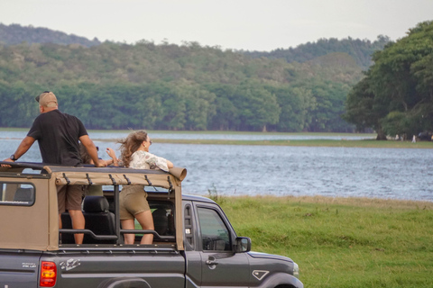 Minneriya: Private Family Wildlife Safari with Pickup