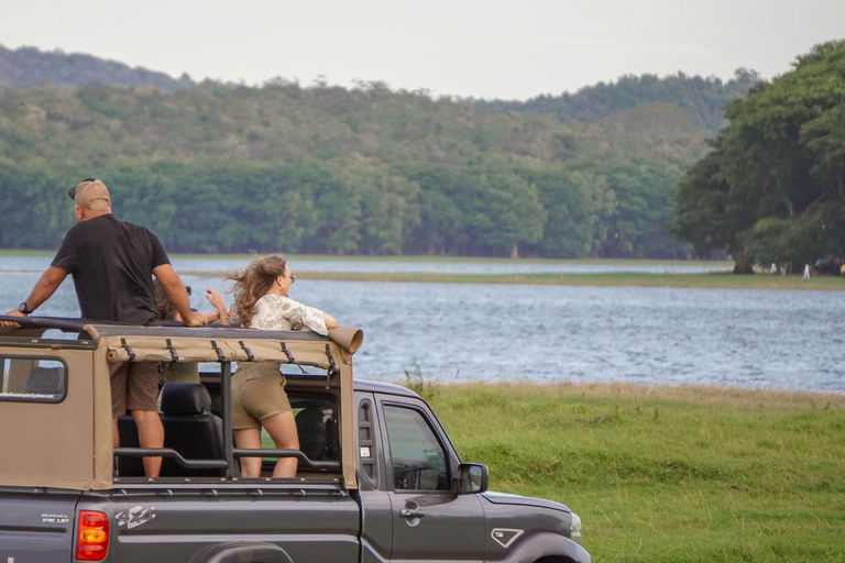 Minneriya: Private Family Wildlife Safari with Pickup