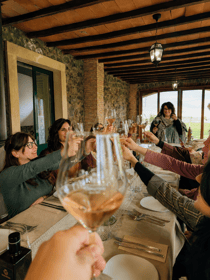 Etna Wineries Experience: small group tour from Taormina