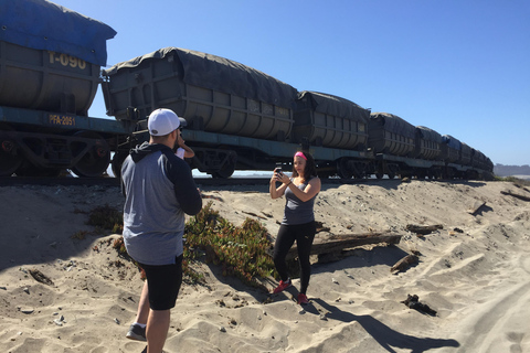 Lunch, Birdwatching in Wetlands &amp; Horse Ride from Valparaíso